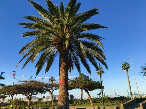 Apartamento Muelle Deportivo