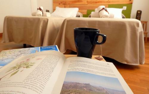 Bed & Breakfast Twenty Seven Degrees Las Palmas
