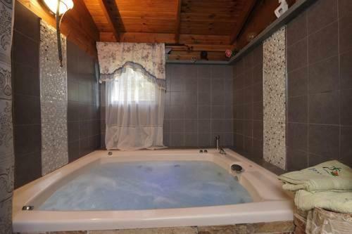 Apartamento Family Cabin