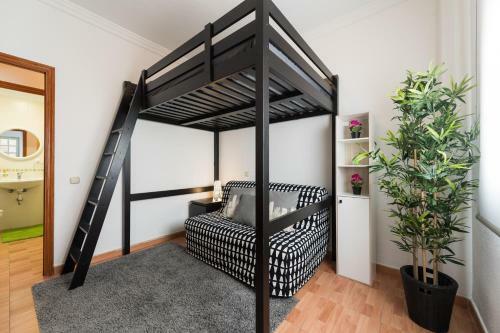 Apartamento Vivienda Miguel Rosas