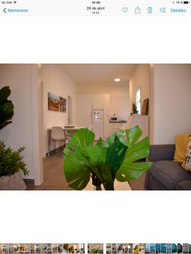Apartamento The Blue House Las Canteras