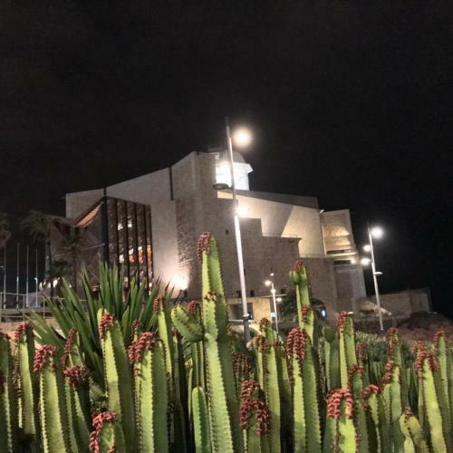 Apartamento Canary Islands Holidays