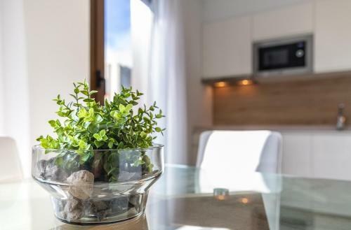 Plaza De La Feria Premium Apartments