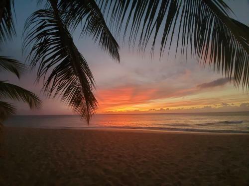 Ocean Blue Luxury Apartment - Beachfront - Glitter Bay 203