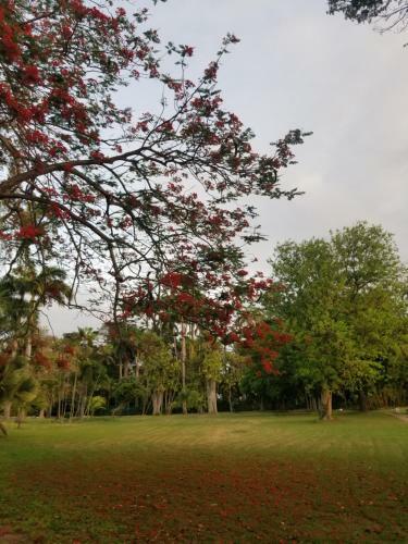 Ocean Blue Luxury Apartment - Beachfront - Glitter Bay 203