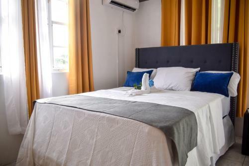 2 Bedroom Master Apartment In Roseau