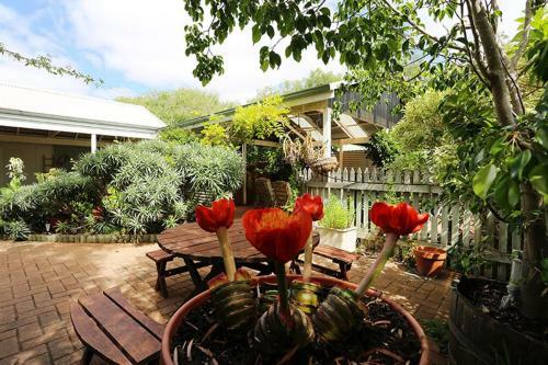 Hostal Jacaranda Guest House