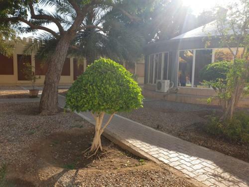 Hotel Suwaiq Motel