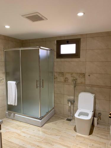 Luxury Fully Furnished Villa ???? ?????