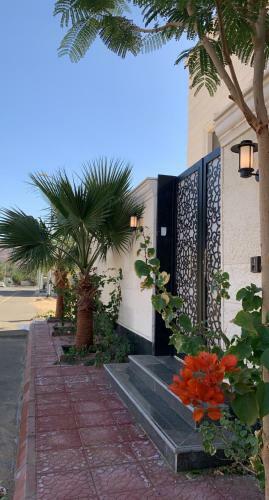 Luxury Fully Furnished Villa ???? ?????