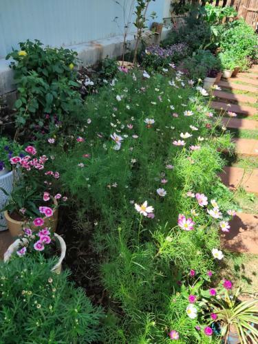 Apartamento T&j Garden
