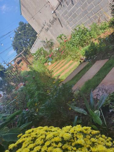 Apartamento T&j Garden