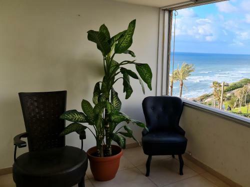 Apartamento ?? ??? ?????? ????? ?? ????? ?????? ????? ?? ??? ??? ??? ???? ?????? ???