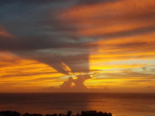 Apartamento G�te Reve Caraibes " La Perle "