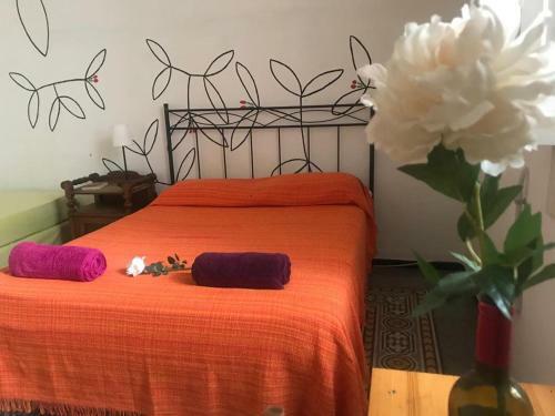 Hostal Mahalo Healthy House