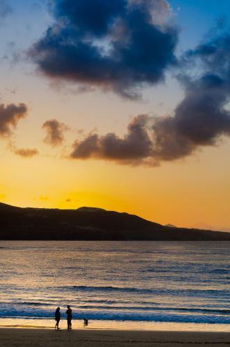 Apartamento Home2book Design Playa Las Canteras, Wifi