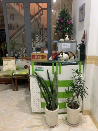 Motel Hostel H?nh Ph�t 9