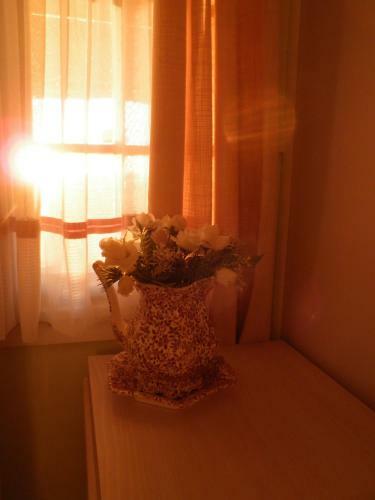 Andavine House - Bed & Breakfast
