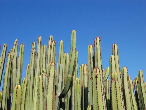 Villa Eagle 8 By Villagrancanaria