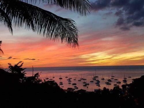 Les Lodges Les Hauts de Deshaies Bungalow Grenadine