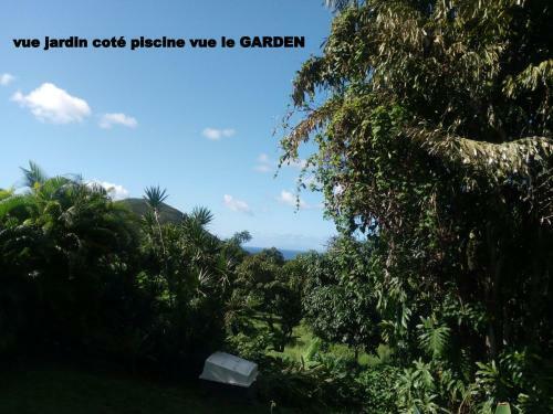 Au Vieux Manguier