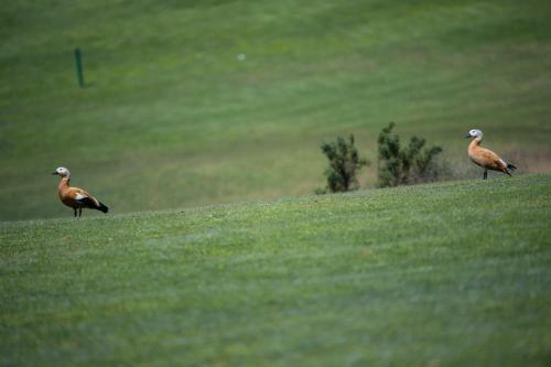 Villa Arcoiris - Renovated&private Pool