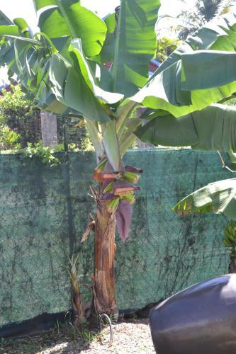 Mini Villa Entre Montagne Et Mer