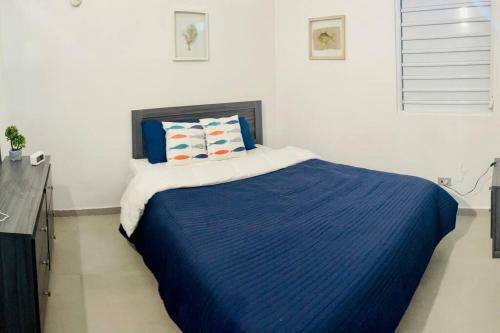 Villa Dos Aguas Ocean Front Greek Beach House
