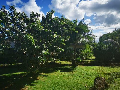 Apartamento Aux Bonnes Vacances