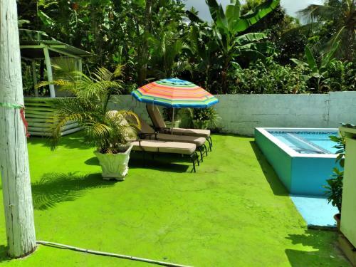 Hostal Caldo Tours