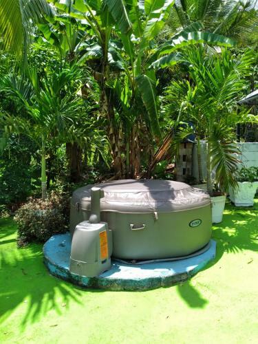 Hostal Caldo Tours