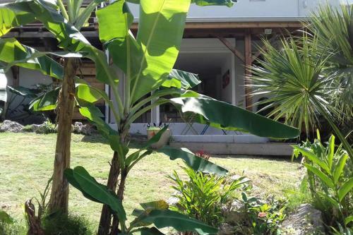 Apartamento Ti Racoon: Au Calme Et Bien Situ�