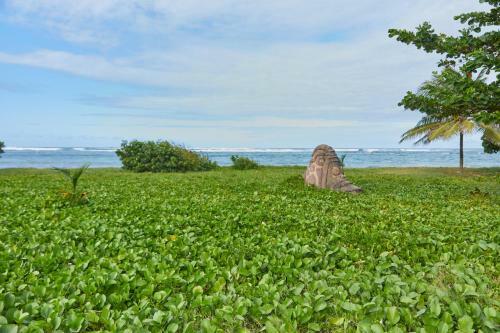 Apartamento Agr�able Studio Face � La Plage :)