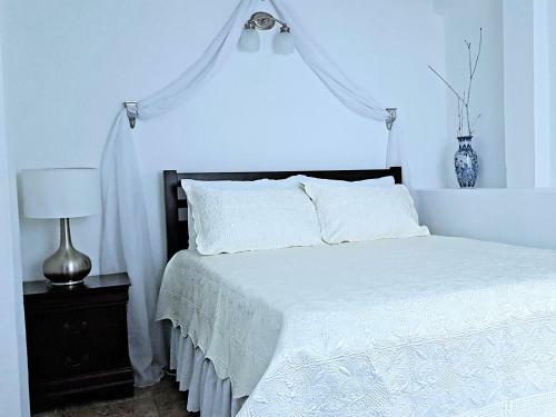 The Suite Spot Apartment - Private Paradise Stay
