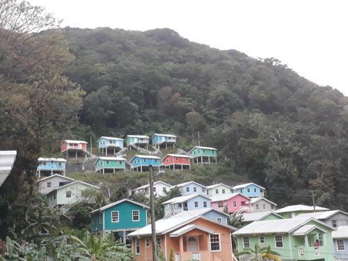 Amazon Villas