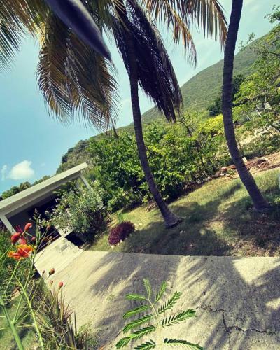 Apartamento <casa Colibri> La D�sirade