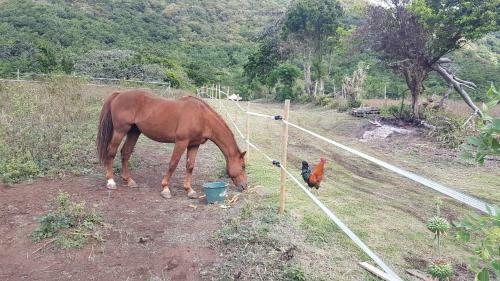 Ecolibry Glamping H�bergement Insolite