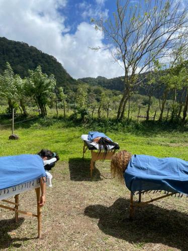 Ecolibry Glamping H�bergement Insolite