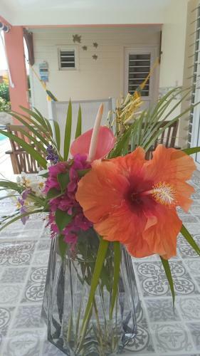 Villa Ti Cottage Cr�ole