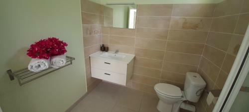 Apartamento Villa Lineddy/zinnia