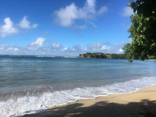 Apartamento Studio Ana Plage Et Piscine 100 M De La Plage