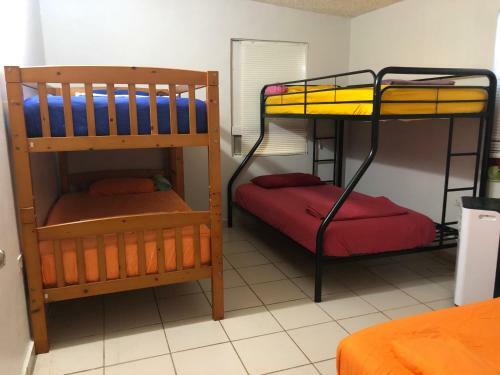 Hostal The International Hostel El Collage