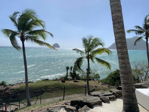 Apartamento Studio Fresh&cosy Diamant, Vue Mer, Piscine, 4 �toiles
