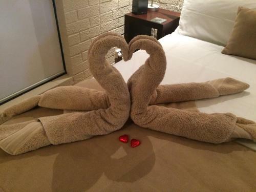 Hostal Zebras Guest House Geraldton