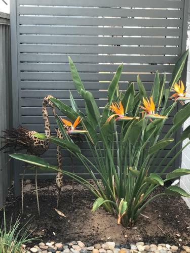 Hostal Zebras Guest House Geraldton