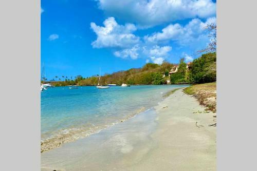 Villa Bel'vue, Ambiance Et Style Tropic Chic