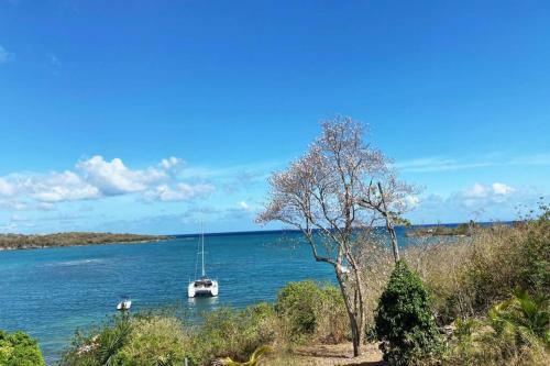 Villa Bel'vue, Ambiance Et Style Tropic Chic