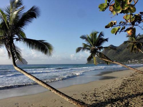 Apartamento Villa Jb - Petit Appartement Vue Sur Mer