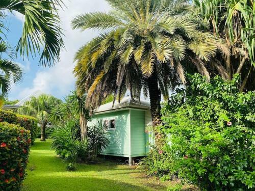 Splendide Bungalow En Bois Avec Jacuzzi Dans Un Parc Tropical