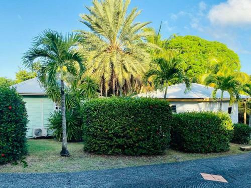 Splendide Bungalow En Bois Avec Jacuzzi Dans Un Parc Tropical